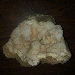 Ancient Ocean fossilized coral